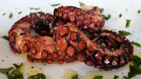 Grilled Octopus Italian Food Forever,Rum Runner Drink Menu